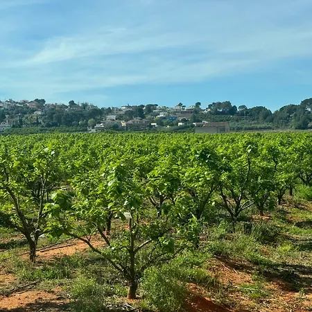 公寓 La Turia Soleada